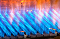 Llwynmawr gas fired boilers